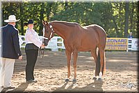 4H-Dist-09_0402.jpg