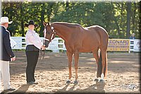 4H-Dist-09_0403.jpg