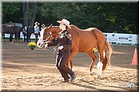 4H-Dist-09_0406.jpg
