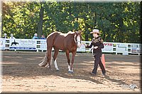 4H-Dist-09_0408.jpg