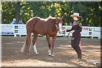 4H-Dist-09_0409.jpg