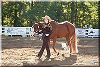 4H-Dist-09_0411.jpg