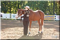 4H-Dist-09_0413.jpg