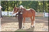 4H-Dist-09_0414.jpg