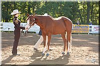 4H-Dist-09_0415.jpg