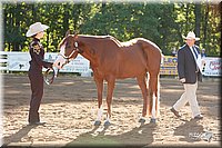 4H-Dist-09_0416.jpg