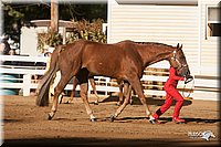 4H-Dist-09_0420.jpg