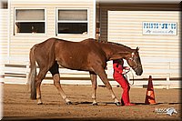 4H-Dist-09_0421.jpg
