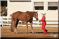 4H-Dist-09_0423.jpg