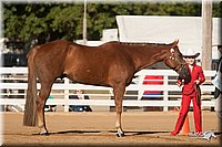 4H-Dist-09_0425.jpg