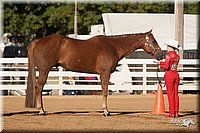 4H-Dist-09_0426.jpg