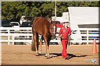 4H-Dist-09_0427.jpg