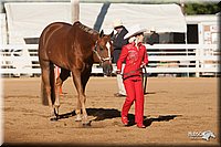 4H-Dist-09_0428.jpg