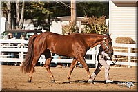 4H-Dist-09_0431.jpg