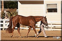 4H-Dist-09_0432.jpg