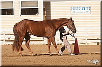 4H-Dist-09_0434.jpg