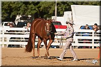 4H-Dist-09_0438.jpg