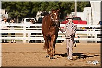 4H-Dist-09_0439.jpg