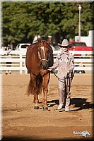 4H-Dist-09_0441.jpg