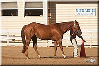 4H-Dist-09_0446.jpg