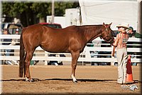 4H-Dist-09_0448.jpg