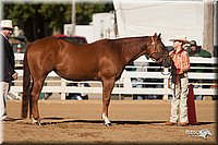 4H-Dist-09_0449.jpg