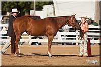 4H-Dist-09_0450.jpg