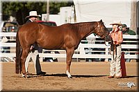 4H-Dist-09_0451.jpg