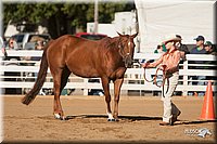 4H-Dist-09_0452.jpg