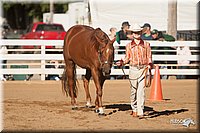 4H-Dist-09_0453.jpg