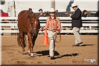 4H-Dist-09_0454.jpg