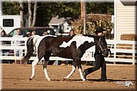 4H-Dist-09_0460.jpg