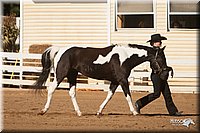 4H-Dist-09_0462.jpg