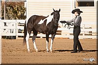 4H-Dist-09_0464.jpg