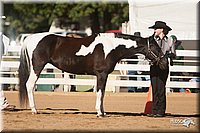 4H-Dist-09_0469.jpg