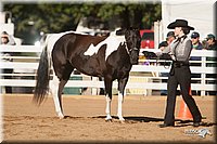 4H-Dist-09_0470.jpg
