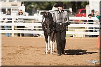 4H-Dist-09_0471.jpg