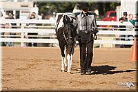 4H-Dist-09_0472.jpg