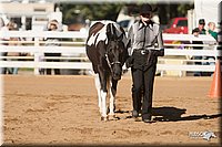 4H-Dist-09_0473.jpg