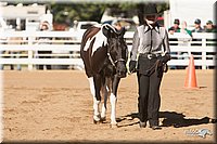 4H-Dist-09_0474.jpg