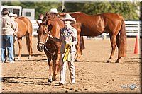 4H-Dist-09_0483.jpg