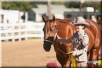 4H-Dist-09_0487.jpg