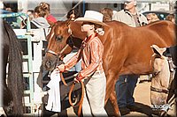 4H-Dist-09_0498.jpg