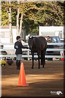 4H-Dist-09_0525.jpg