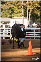 4H-Dist-09_0526.jpg