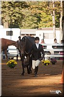 4H-Dist-09_0527.jpg