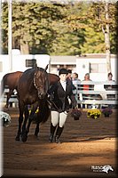 4H-Dist-09_0528.jpg