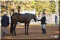 4H-Dist-09_0531.jpg