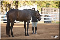 4H-Dist-09_0532.jpg