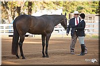4H-Dist-09_0534.jpg